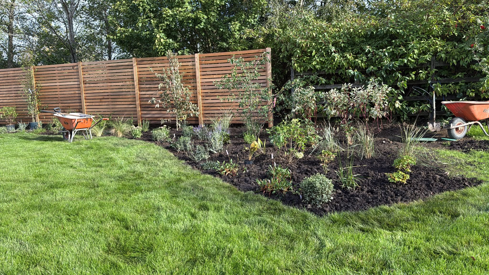 New fencing and planting beds on Swithland Lane