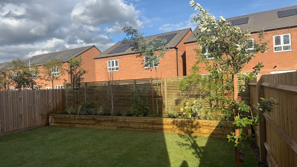 View across the lawn to the raised planter and slatted fence, with a young tree in the foreground