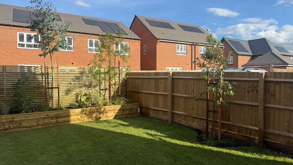 Raised planter beside the lawn and a new tree planted along the close-board boundary fence
