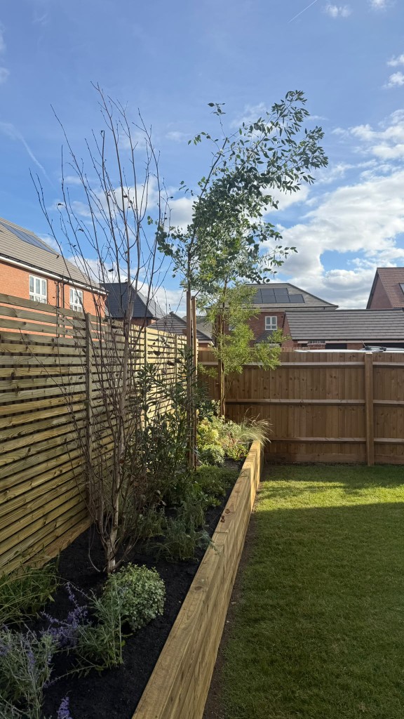 Mature trees in the raised planter adding height against the neighbouring rooftops