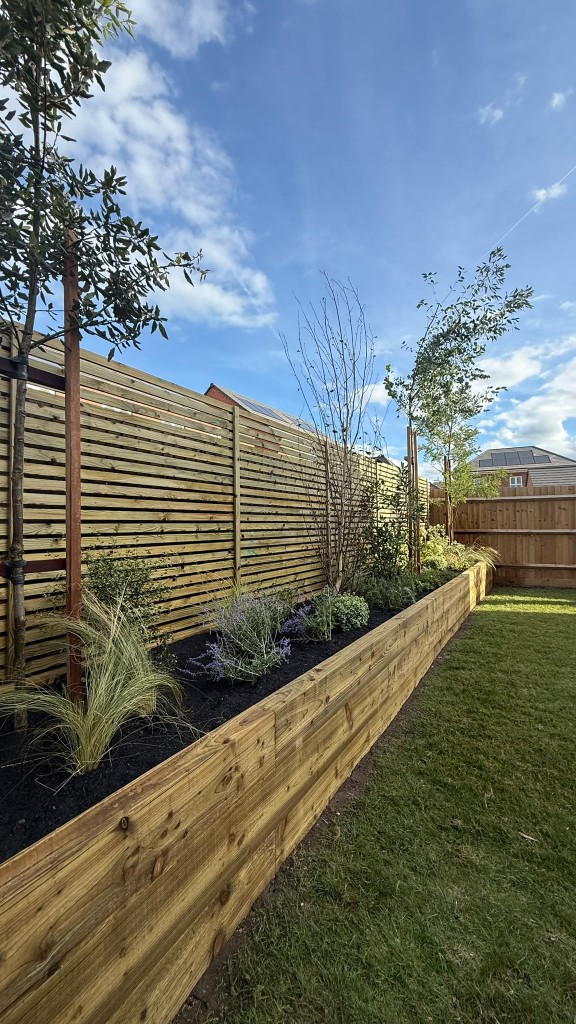 Lavender, grasses and trees along the raised planter and slatted fence