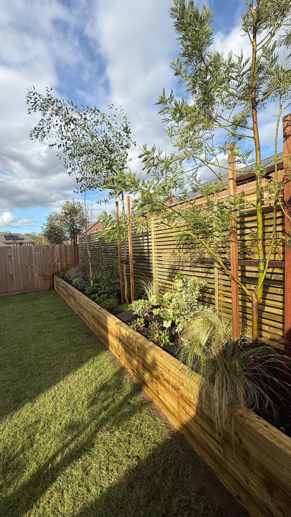 Raised timber planter running the length of the lawn in evening sun